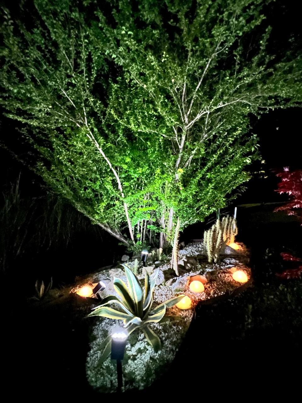 Gan Eden B&B San Benedetto Del Querceto Exterior foto