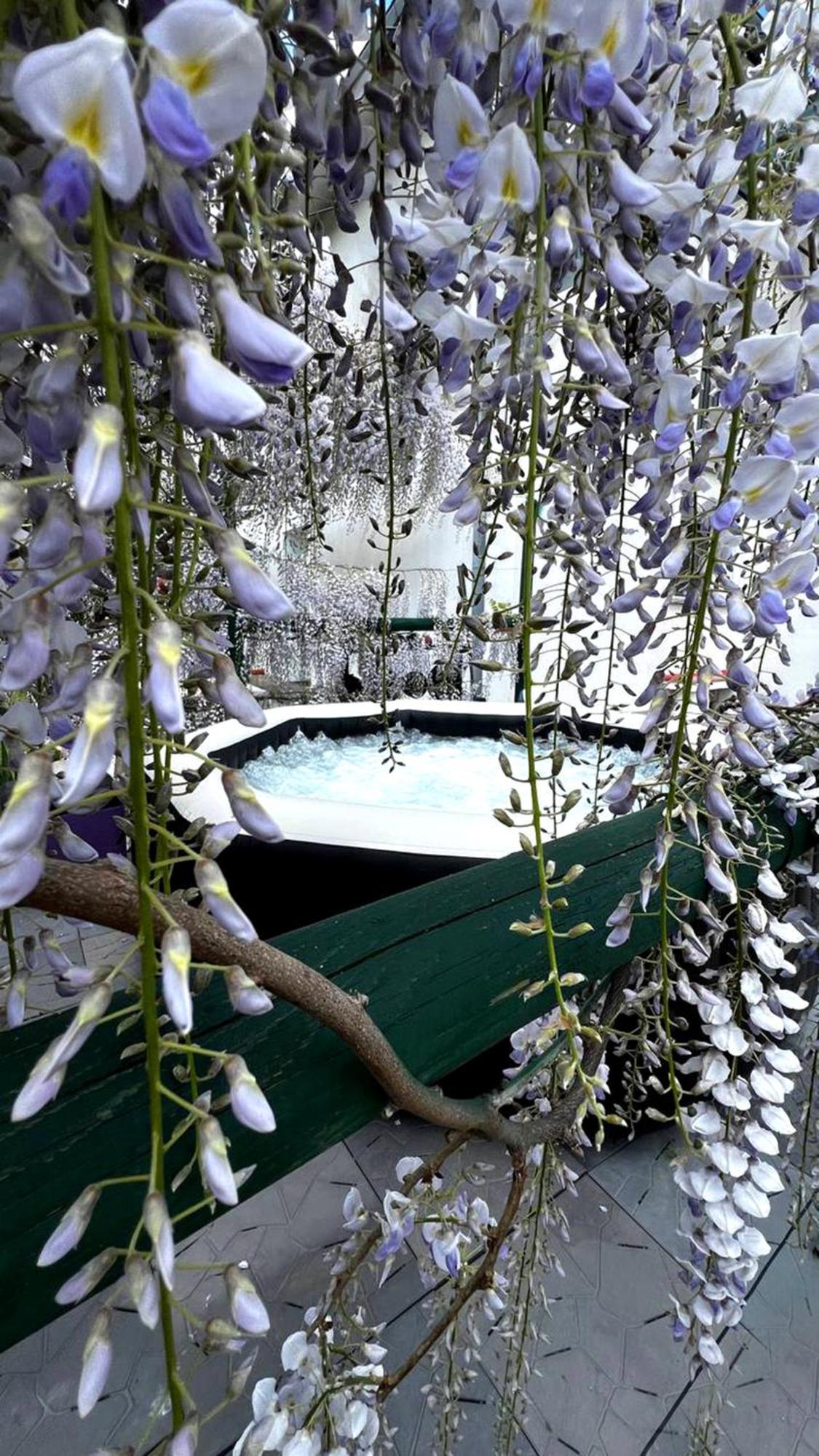 Gan Eden B&B San Benedetto Del Querceto Exterior foto
