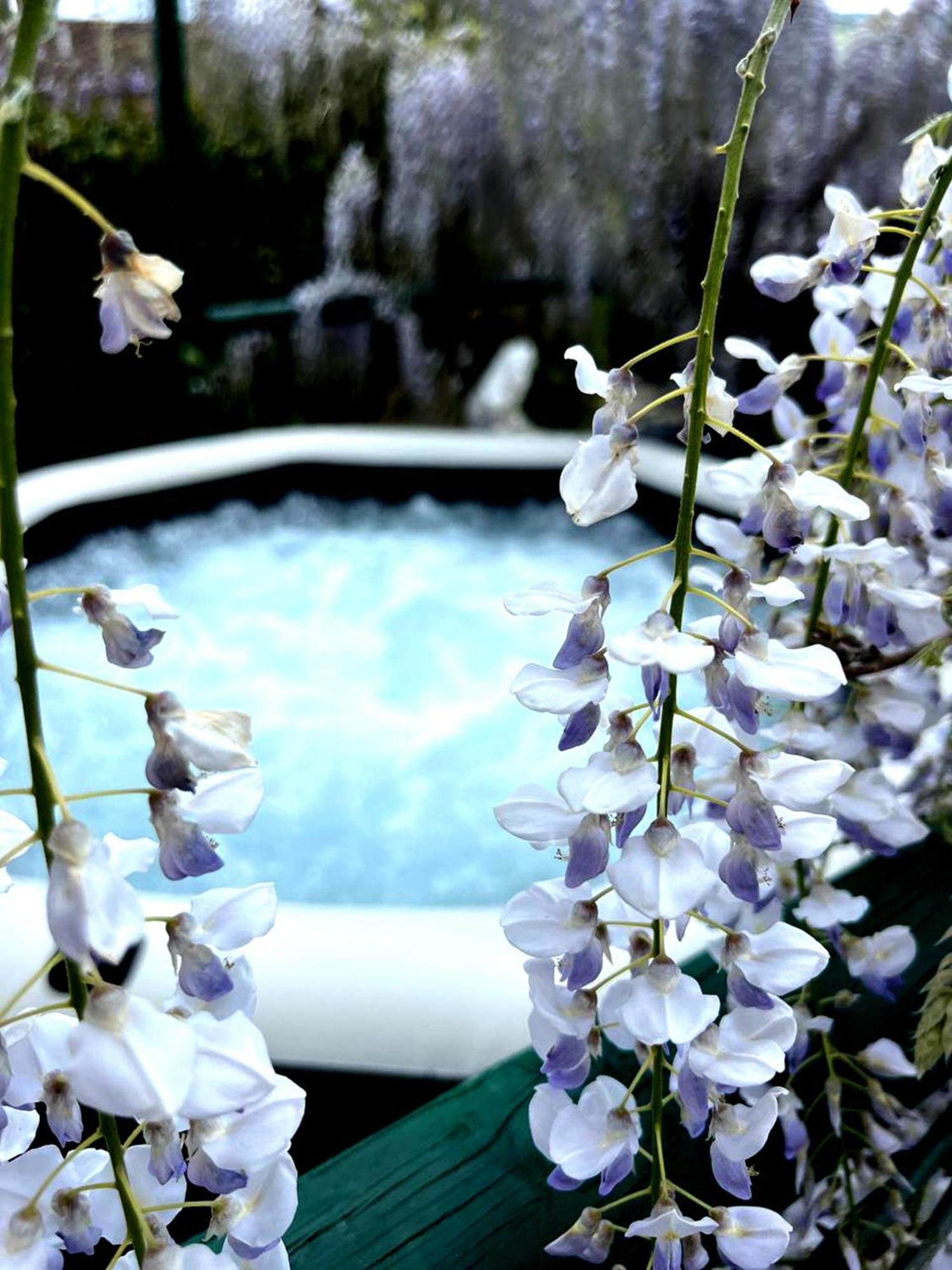 Gan Eden B&B San Benedetto Del Querceto Exterior foto